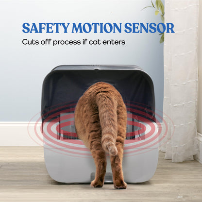 Smart Cat Litter Box With Wide Opening in gray plastic on Tampa Home & Garden Store
