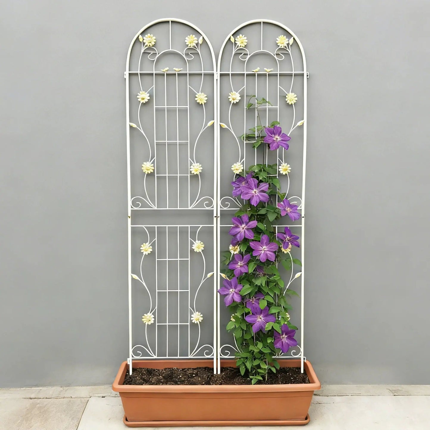 Metal Garden Trellis for Climbing Plants Outdoor