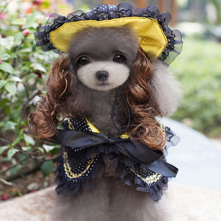 Christmas dog costume Pet Zen with yellow hat and black lace cape with gold trim on gray poodle on Tampa Home & Garden Store