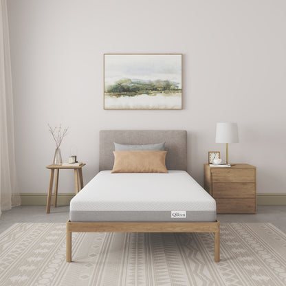 NapQueen 6 Inch Twin XL memory foam mattress on a light wood platform bed on Tampa Home & Garden Store
