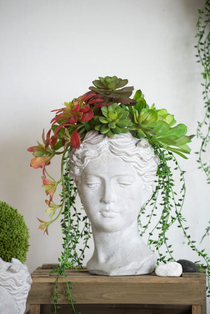 Greek style cement head planter with a lush succulent arrangement, gray indoor/outdoor decor on Tampa Home & Garden Store