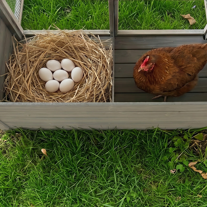 Solid Wooden Chicken Coop and Safe Outdoor House