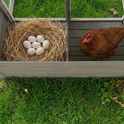 Solid Wooden Chicken Coop and Safe Outdoor House