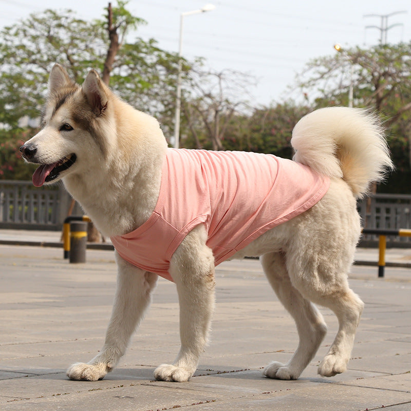 Pet Zen pink dog vest shirt on fluffy light-colored dog outdoors on Tampa Home & Garden Store
