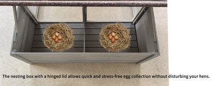 Large Chicken Coop with 20.93 Sq Ft Run gray wooden coop with two nests and brown eggs on Tampa Home & Garden Store