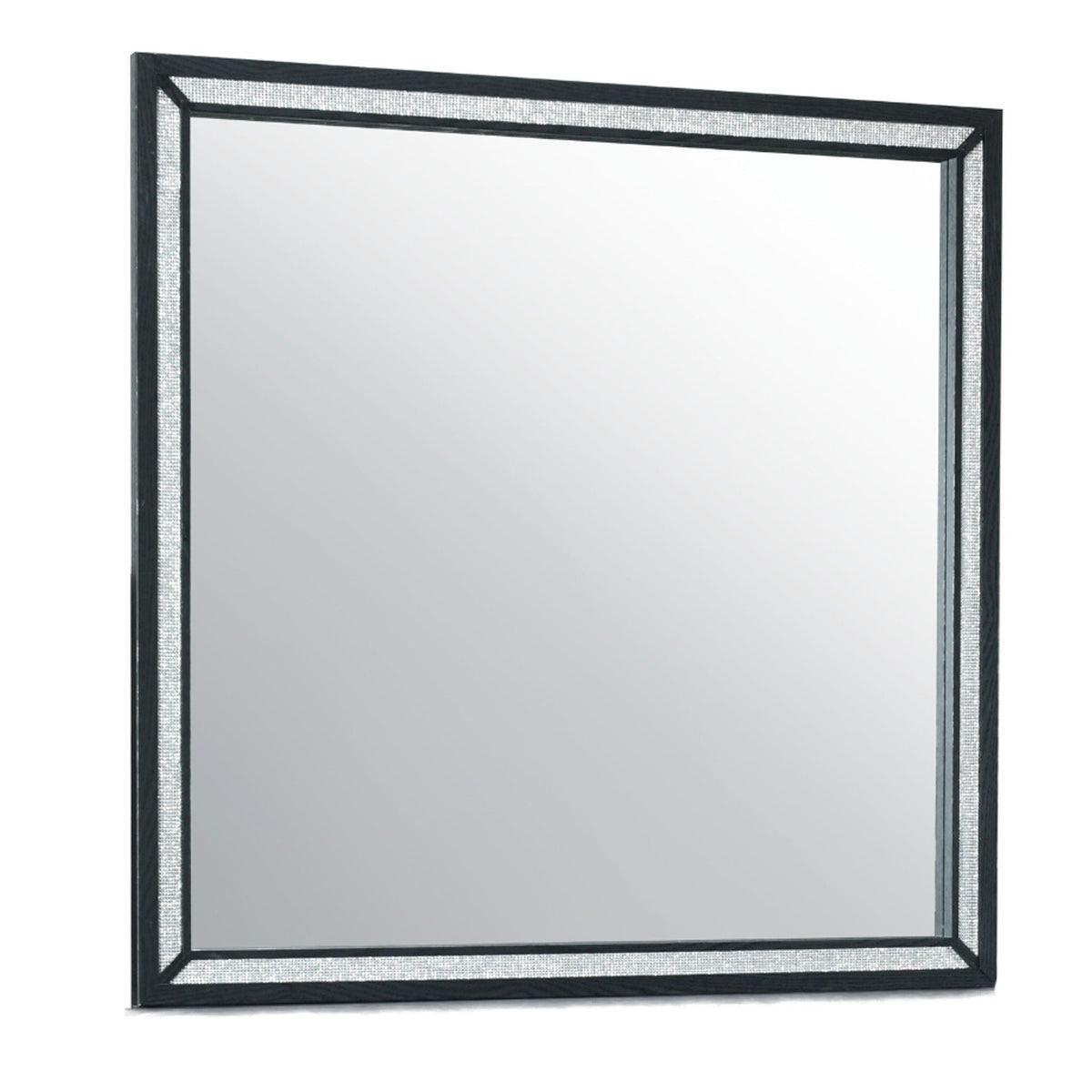 Black modern wall mirror with large-scale frame and shimmering inner border on Tampa Home & Garden Store