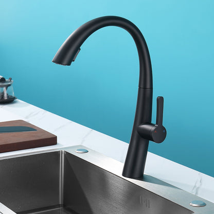 Single Handle And Stainless Steel Kitchen Faucet