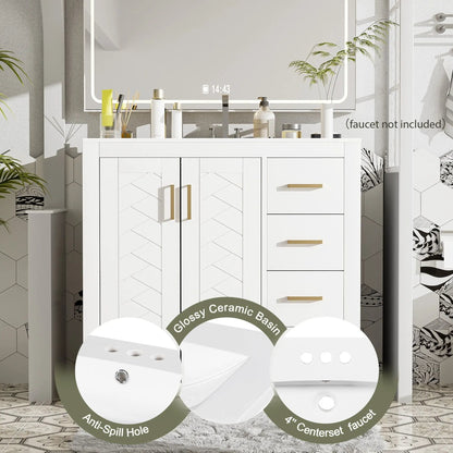 Bathroom Vanity With Sink and Storage Cabinet