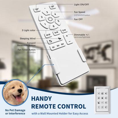 Ceiling fan remote control with LED light; Light On/Off and Fan Speed 1–6 on Tampa Home & Garden Store