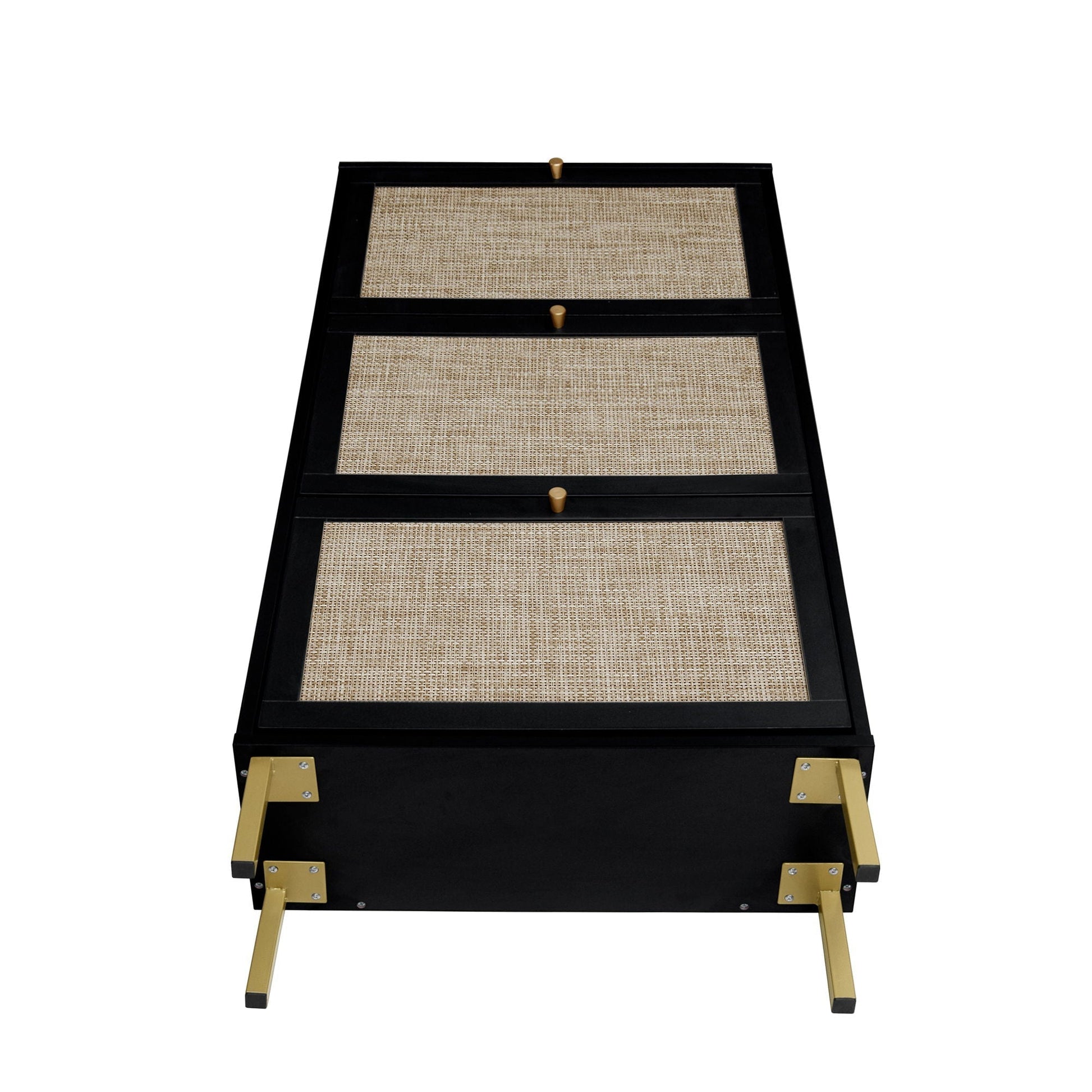 Modern rattan 3-door shoe cabinet with black frame and gold hardware by HouseOfZazla on Tampa Home & Garden Store