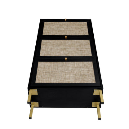 Modern rattan 3-door shoe cabinet with black frame and gold hardware by HouseOfZazla on Tampa Home & Garden Store