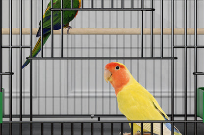 Home Fashion Personality Double Layer Bird Cage with 2 colorful parrots inside black metal cage on Tampa Home & Garden Store