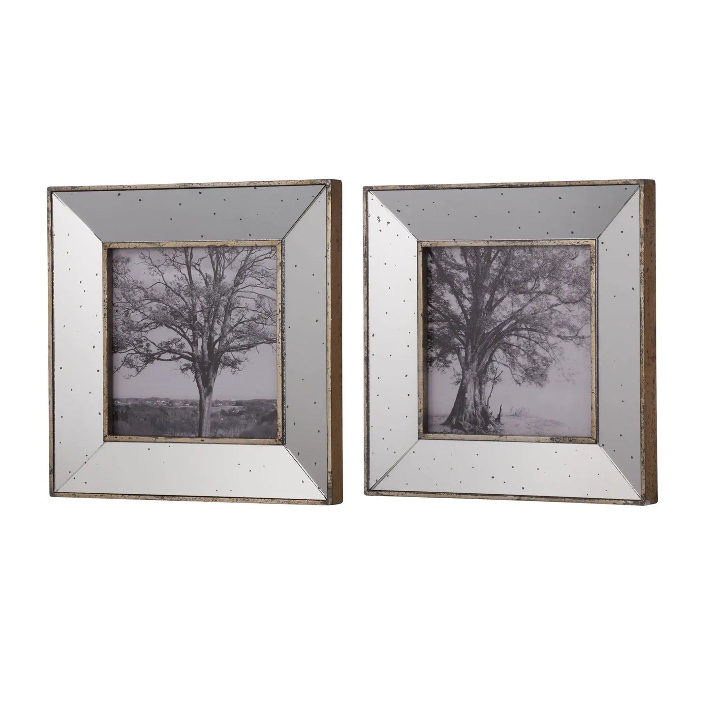 Two silver vintage reflective picture frames with speckled borders and tree photos inside on Tampa Home & Garden Store
