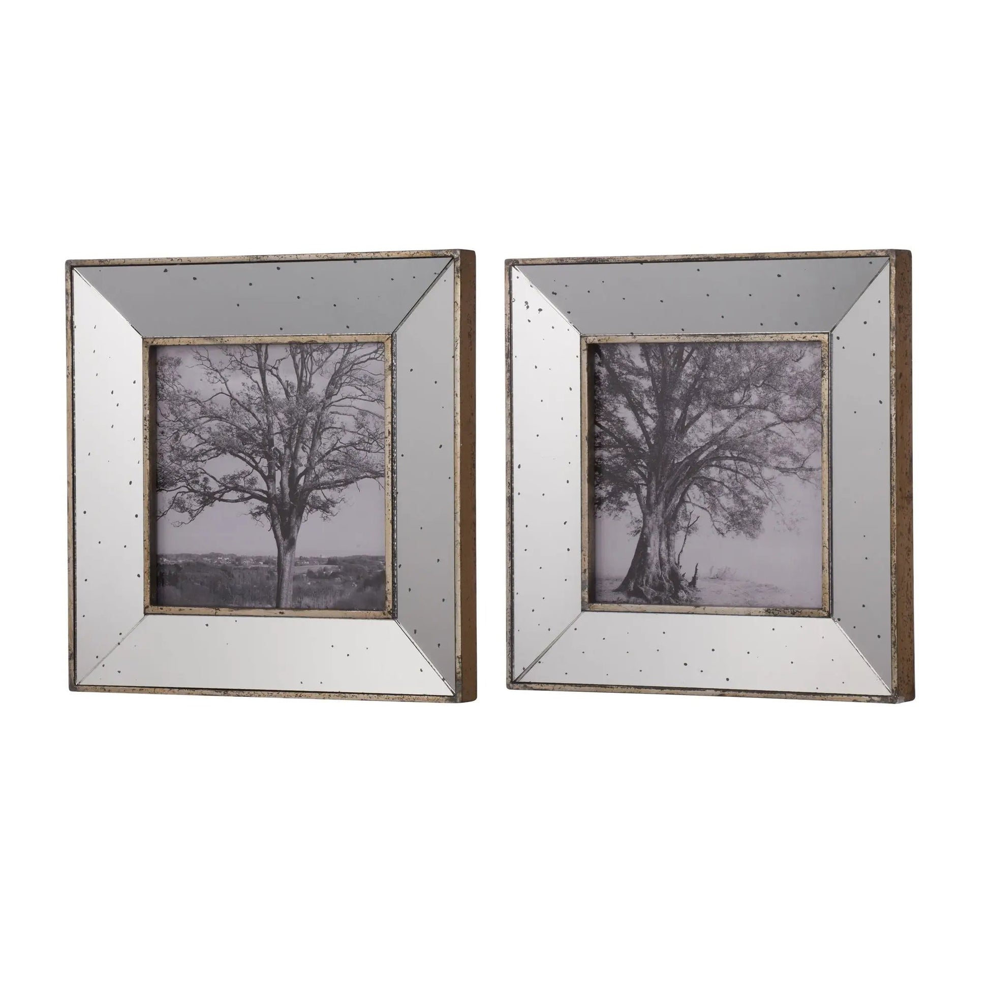 Two silver vintage reflective picture frames with speckled borders and tree photos inside on Tampa Home & Garden Store
