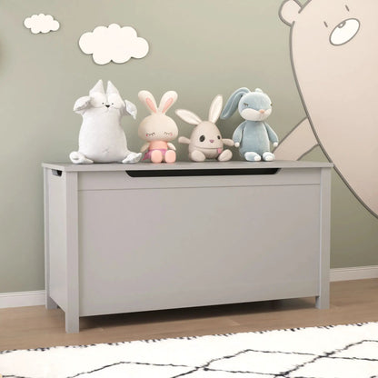 Toy Box Storage With Safety Hinged Lid For Kids