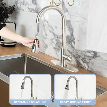 High Arc Kitchen Faucet and Pull Down Sprayer