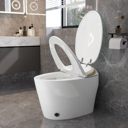 Smart toilet with ceramic bidet in white porcelain, modern bathroom fixture on Tampa Home & Garden Store