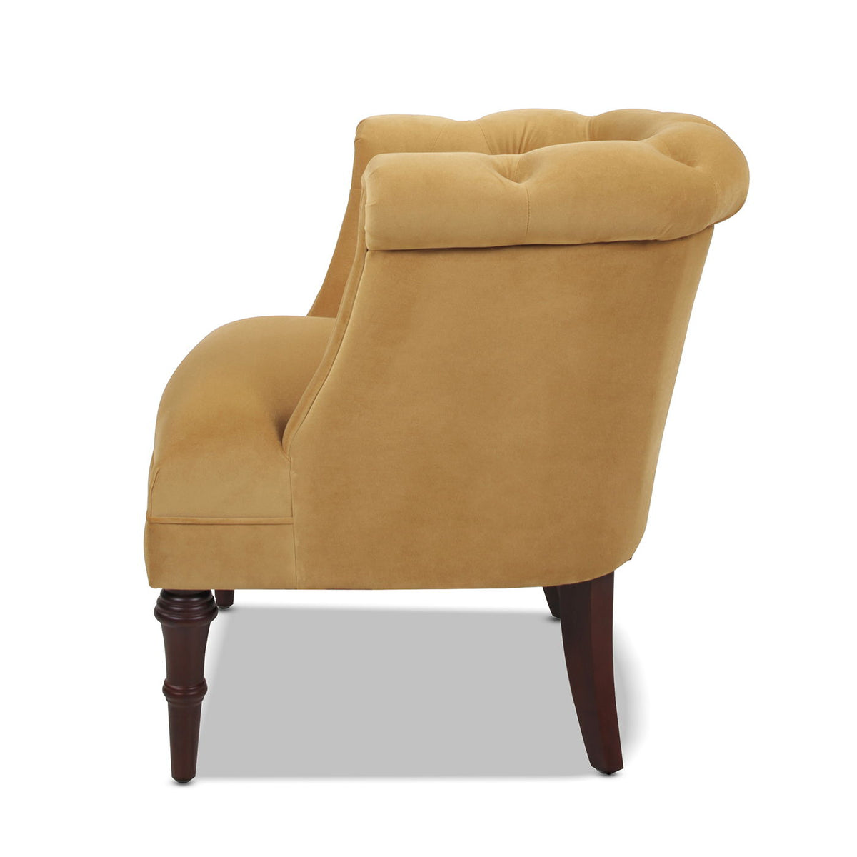 Tufted Accent Chair with Barrel Back in yellow velvet, mustard upholstery, wooden legs on Tampa Home & Garden Store