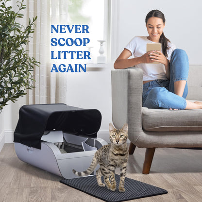 Smart Cat Litter Box With Wide Opening by HouseOfZazla gray in living room with two kittens on Tampa Home & Garden Store