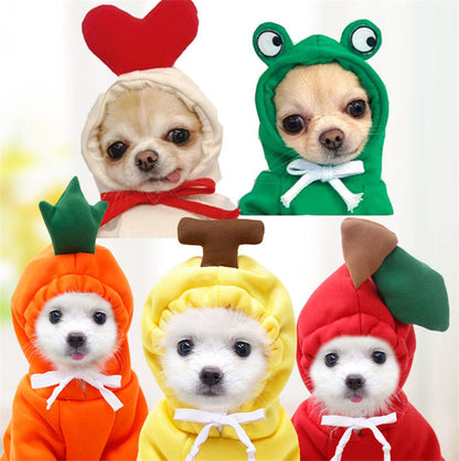 Pet Zen cute fruit dog hoodies for small dogs; five puppies in heart, frog and carrot outfits on Tampa Home & Garden Store