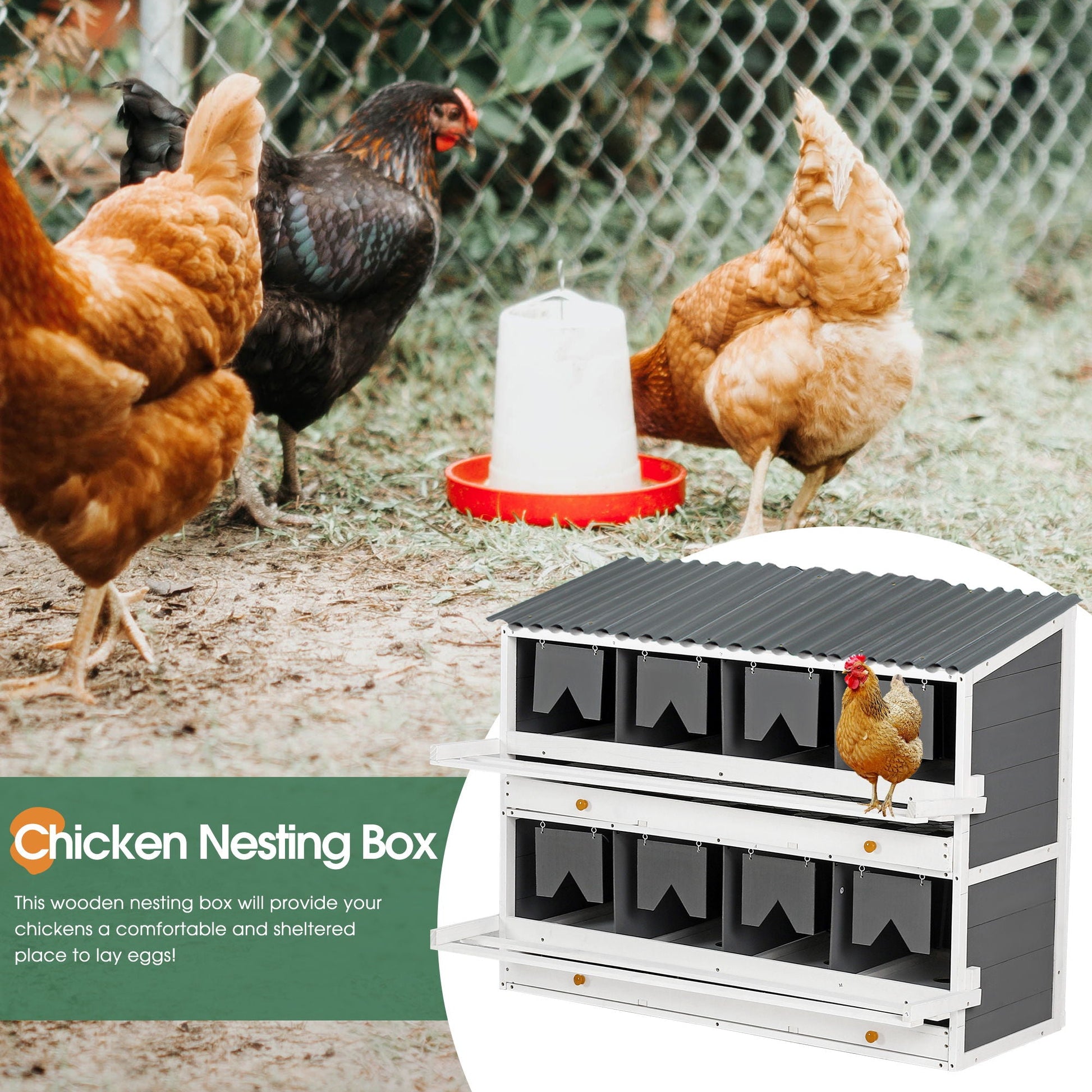 Wooden chicken nesting box with 2 egg drawers in white-gray finish on Tampa Home & Garden Store