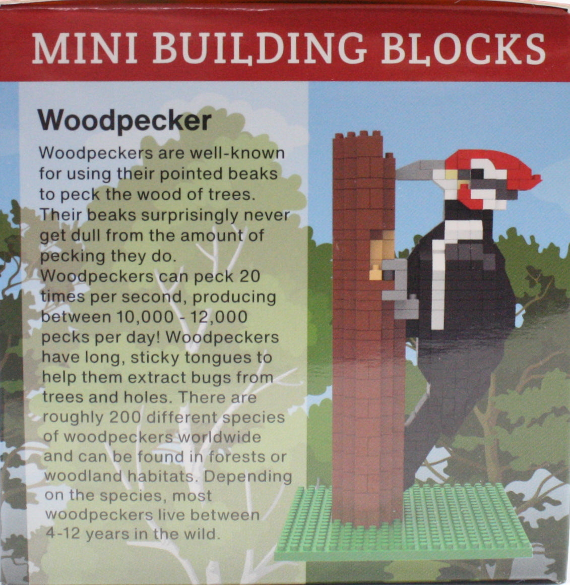 Minibloques de construcción - Pájaro carpintero