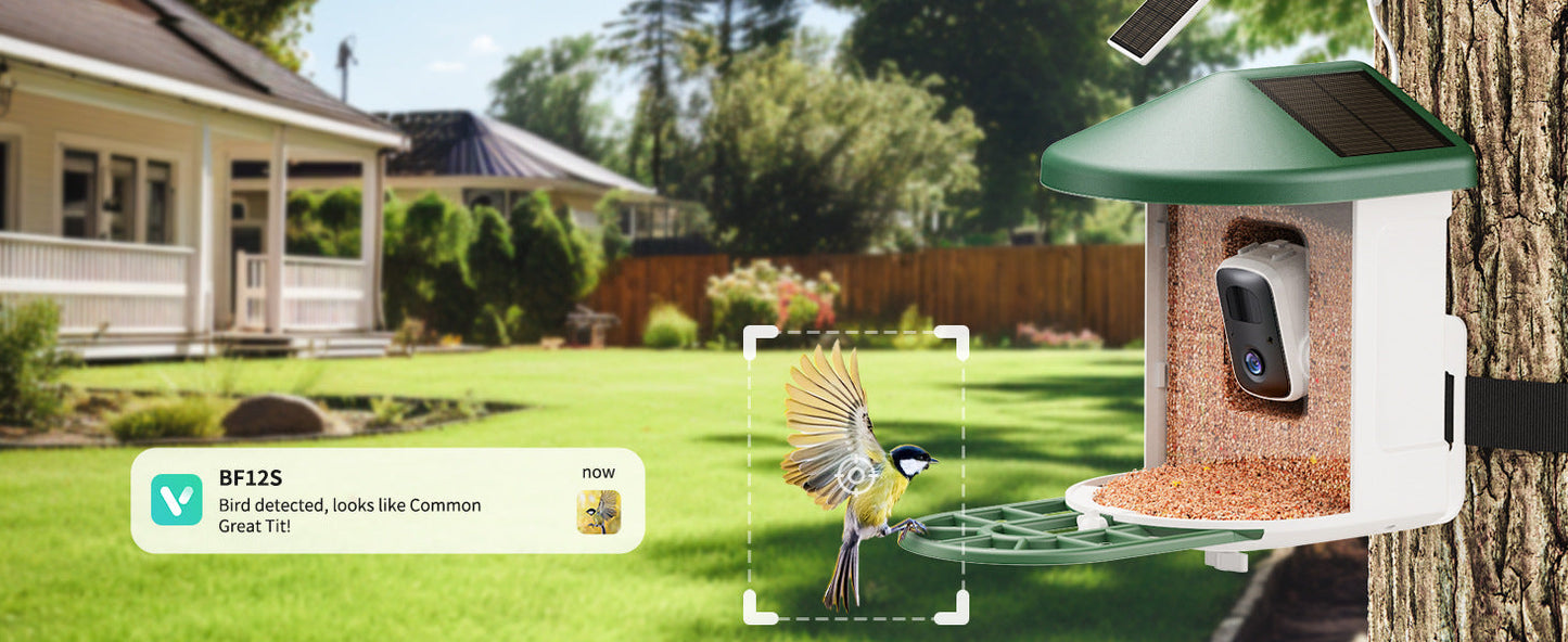 Smart Feeder Wireless Camera on green bird feeder with solar panel Sell My Stuff on Tampa Home & Garden Store