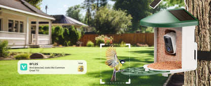 Smart Feeder Wireless Camera on green bird feeder with solar panel Sell My Stuff on Tampa Home & Garden Store