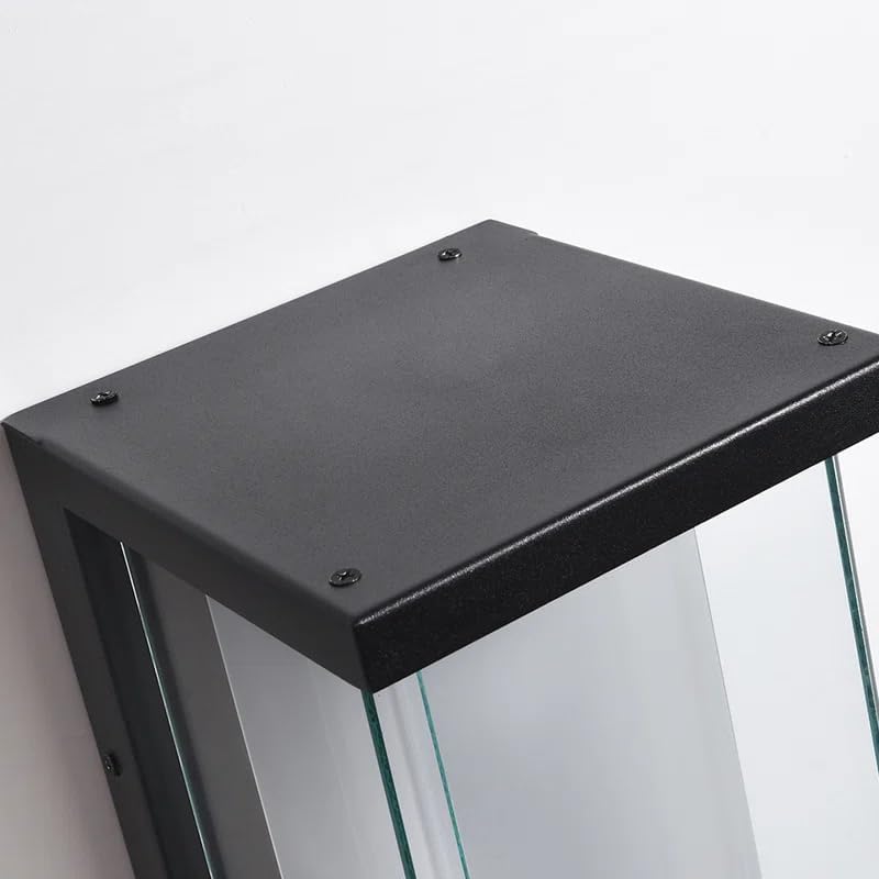 Tempered Glass and Dusk to Dawn Outdoor Sconce