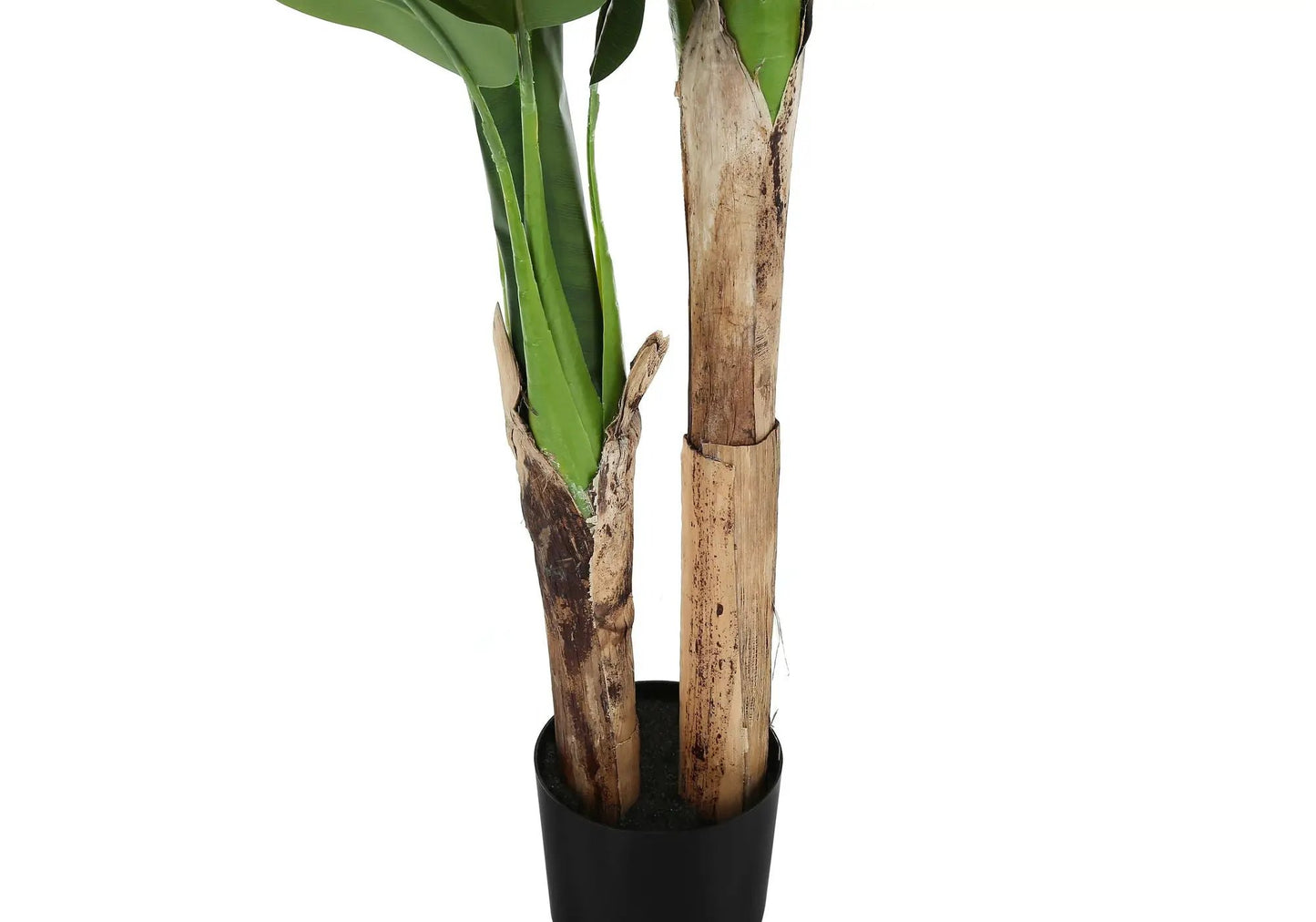 55in artificial banana tree with two trunks in a black pot for indoor decor on Tampa Home & Garden Store