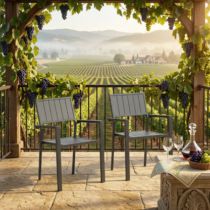 Modern Outdoor and Indoor Metal Chair Set of Two