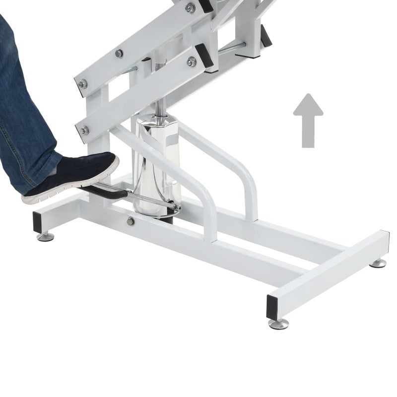 Hydraulic Pet Grooming Table with H Arm, white steel frame, chrome hydraulic pedestal on Tampa Home & Garden Store