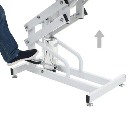 Hydraulic Pet Grooming Table with H Arm, white steel frame, chrome hydraulic pedestal on Tampa Home & Garden Store