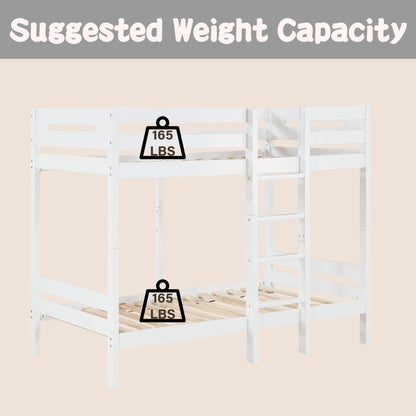 Esin Twin Bunk Bed white finish by HouseOfZazla, twin over twin bunk bed on Tampa Home & Garden Store