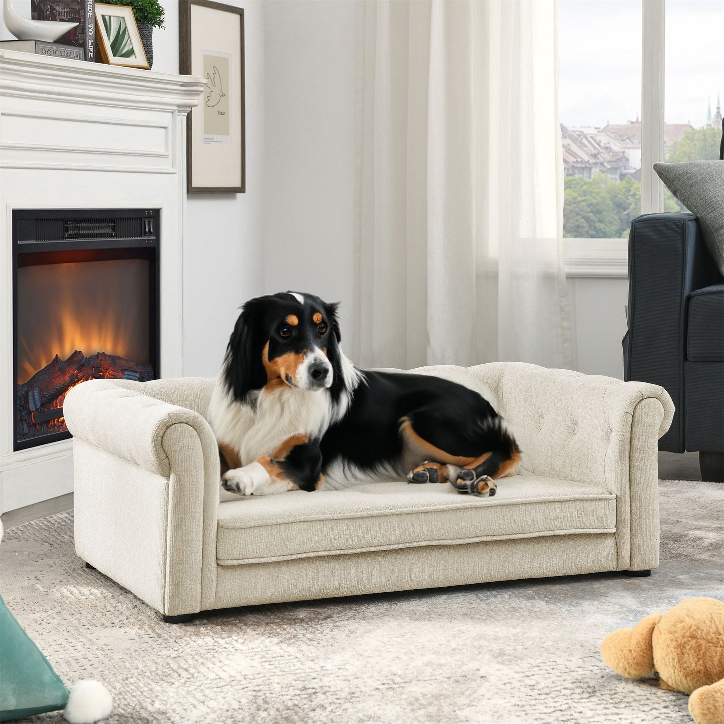 Modern rectangle dog sofa in cream fabric with a black-tan dog lounging in a bright living room on Tampa Home & Garden Store