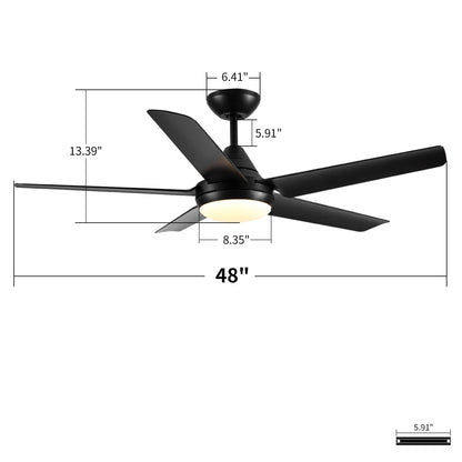 HouseOfZazla black ceiling fan with lights and remote, 48in span, reversible DC motor on Tampa Home & Garden Store
