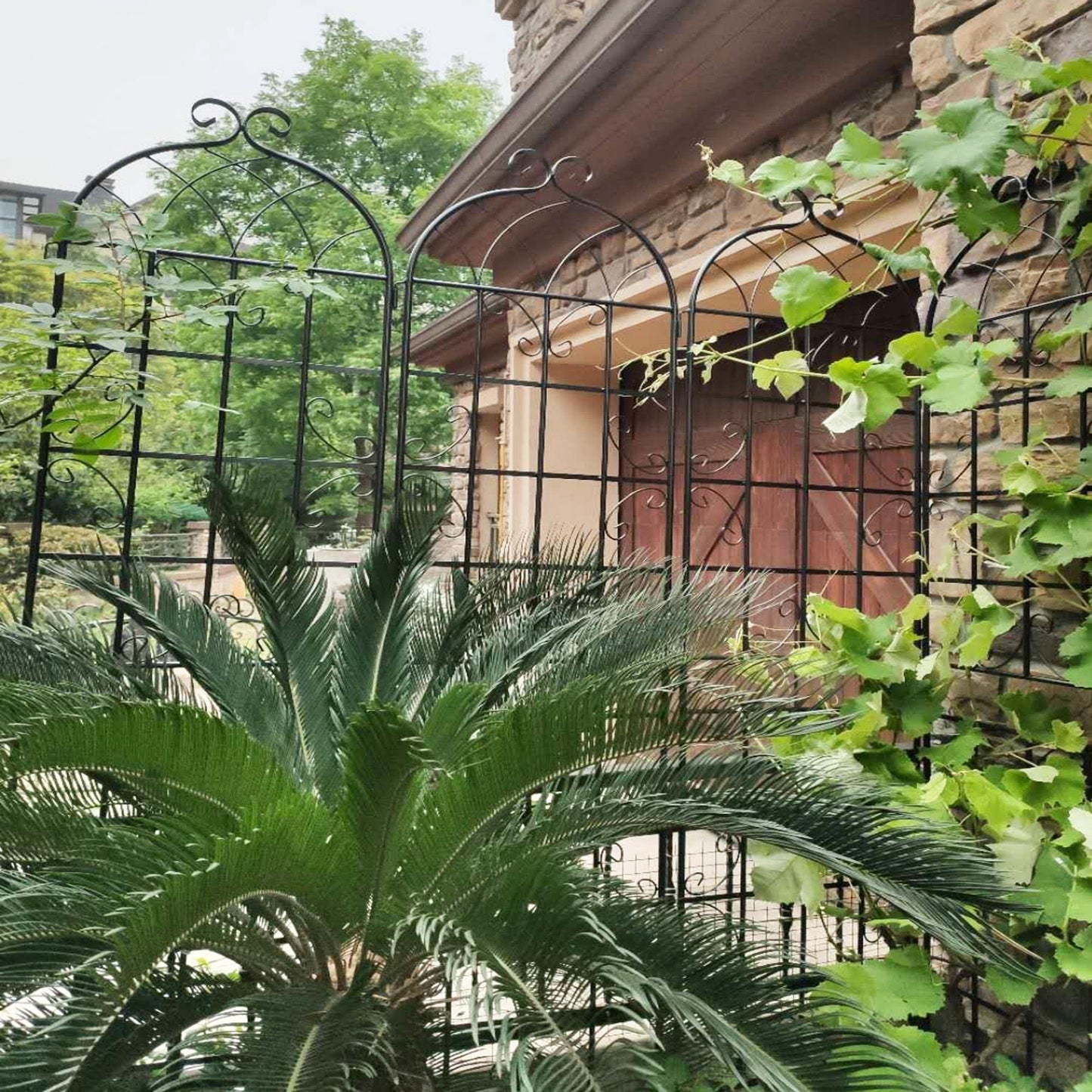 Metal garden rustproof trellis for climbing plants in black wrought iron, outdoor decor on Tampa Home & Garden Store