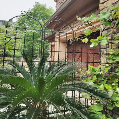 Metal garden rustproof trellis for climbing plants in black wrought iron, outdoor decor on Tampa Home & Garden Store