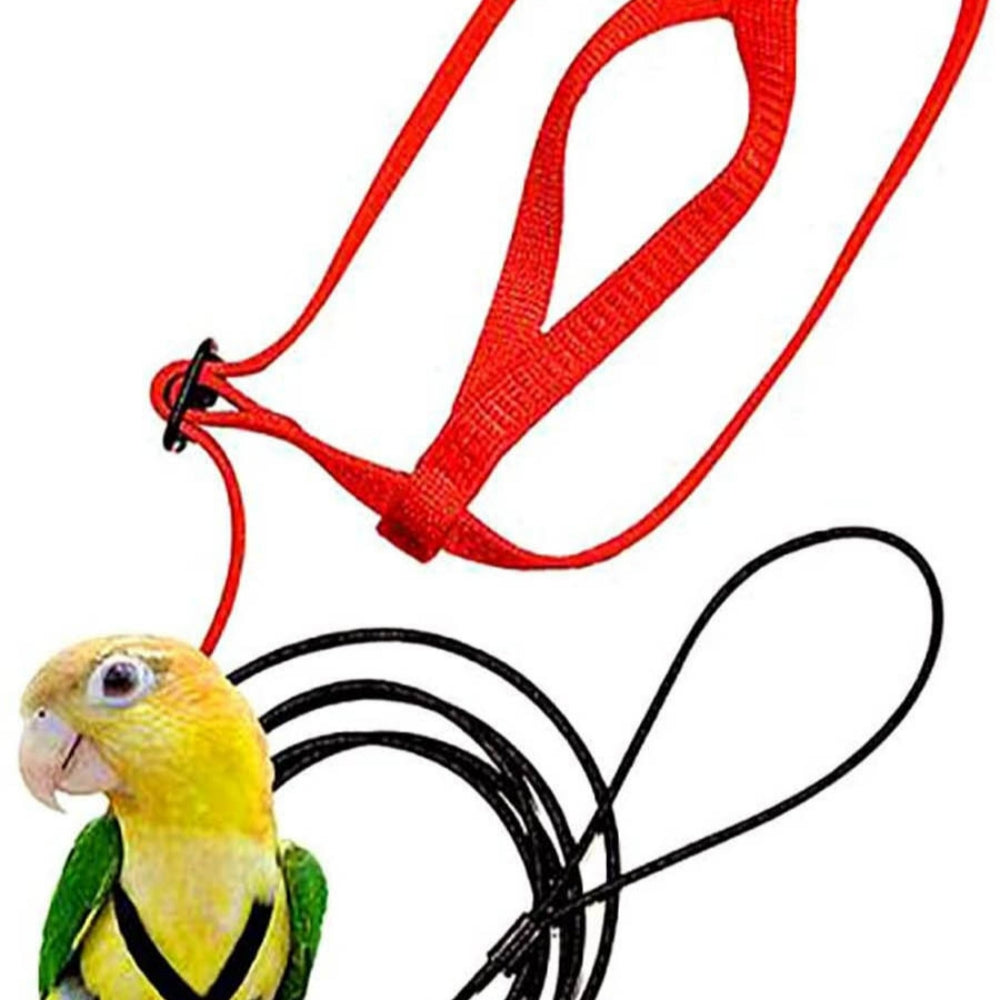 Parrot flying harness with red rope and black straps bird training gear on Tampa Home & Garden Store