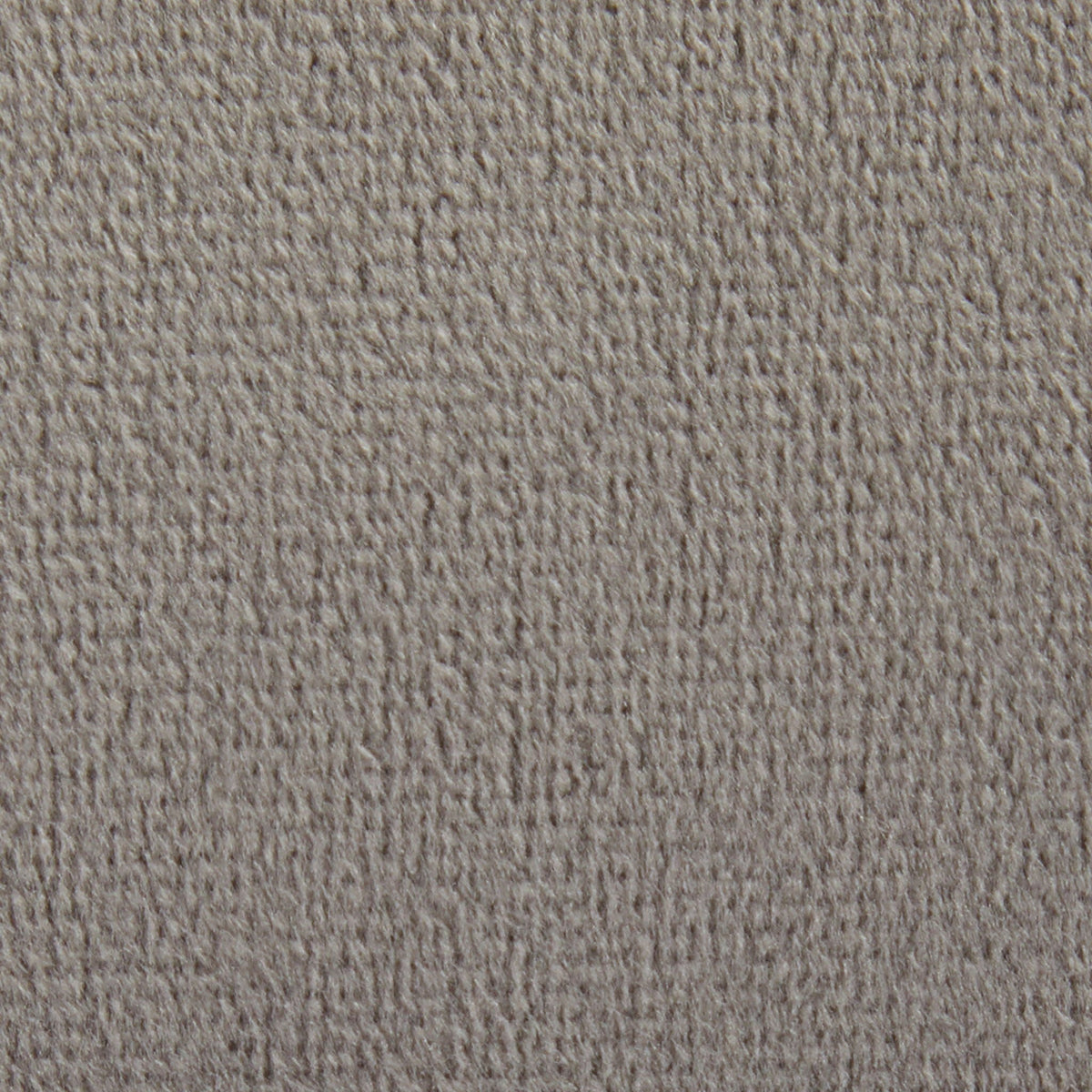 Close-up beige textured carpet with dense loop fibers in neutral tones on Tampa Home & Garden Store