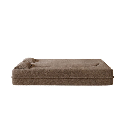 Modern Floor Sleeper Sofa Bed And Two Pillows