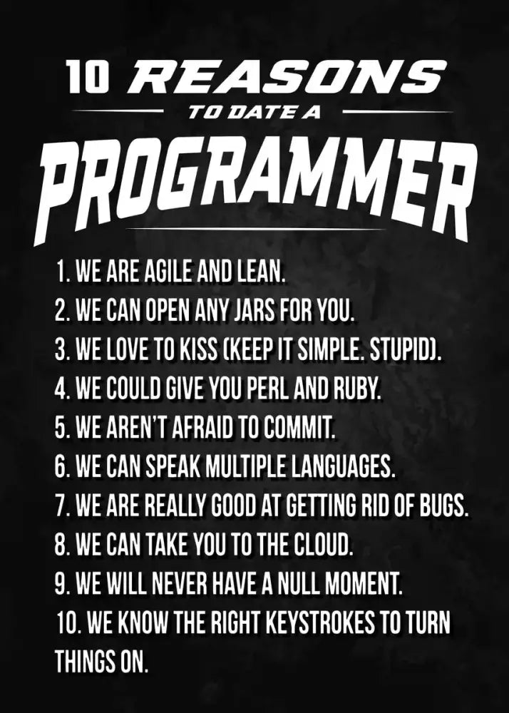 Poster Decorbites black canvas infographic with bold text 10 Reasons to Date a Programmer on Tampa Home & Garden Store