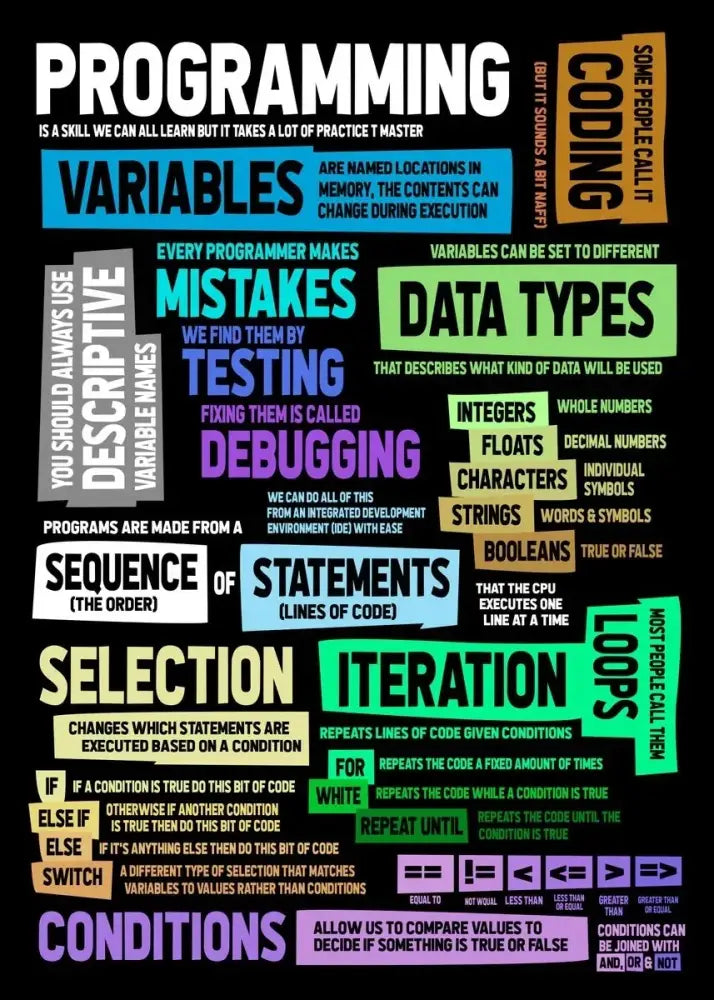 Poster abstract programmer infographic with colorful blocks showing variables, data types, loops on Tampa Home & Garden Store