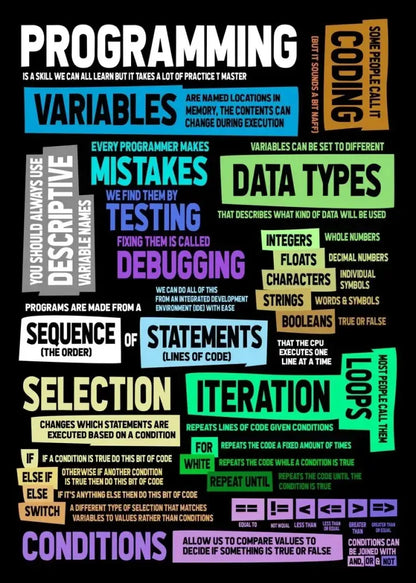 Poster abstract programmer infographic with colorful blocks showing variables, data types, loops on Tampa Home & Garden Store