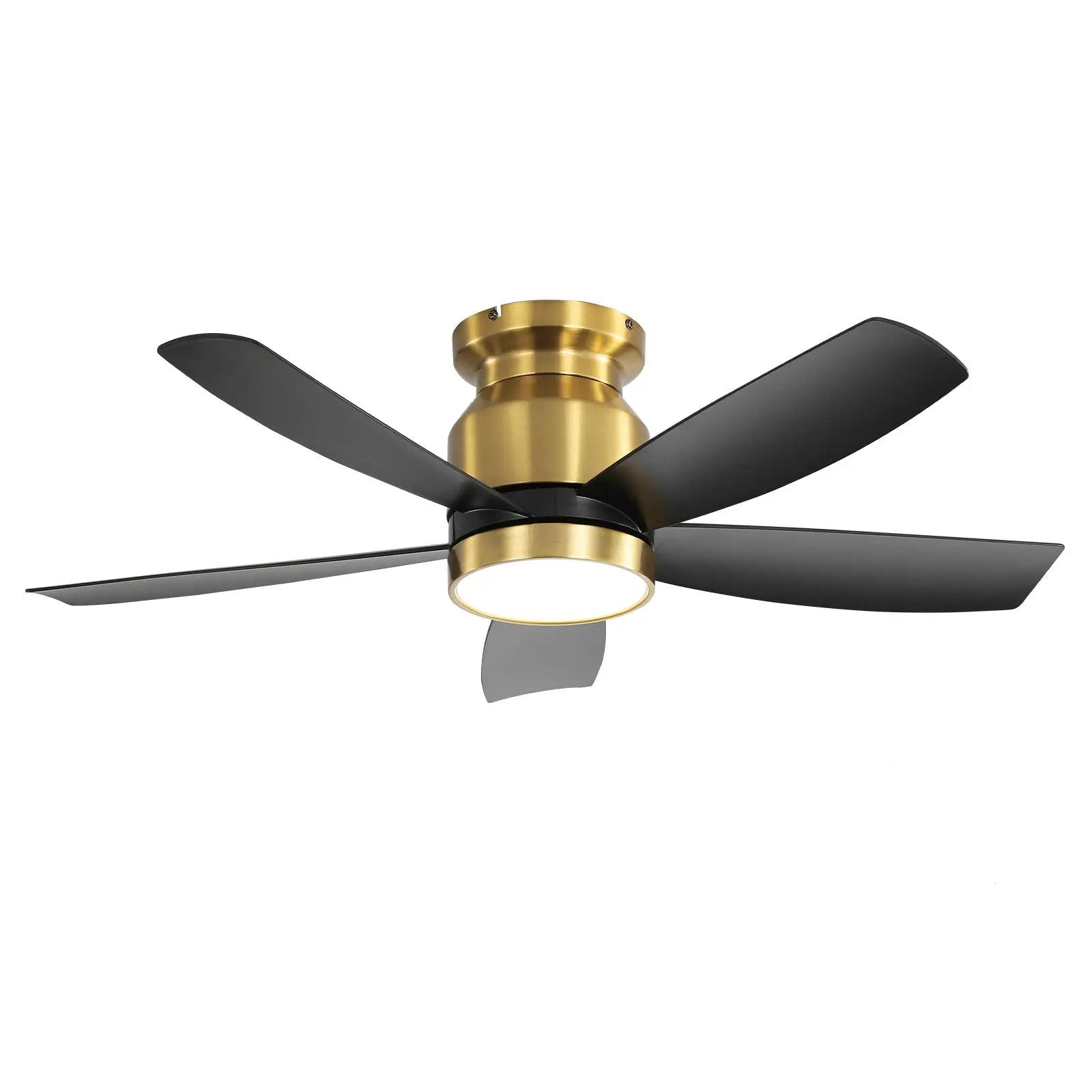 Flush mount ceiling fan with LED light, gold body, black blades remote, Unique Piece Furniture on Tampa Home & Garden Store