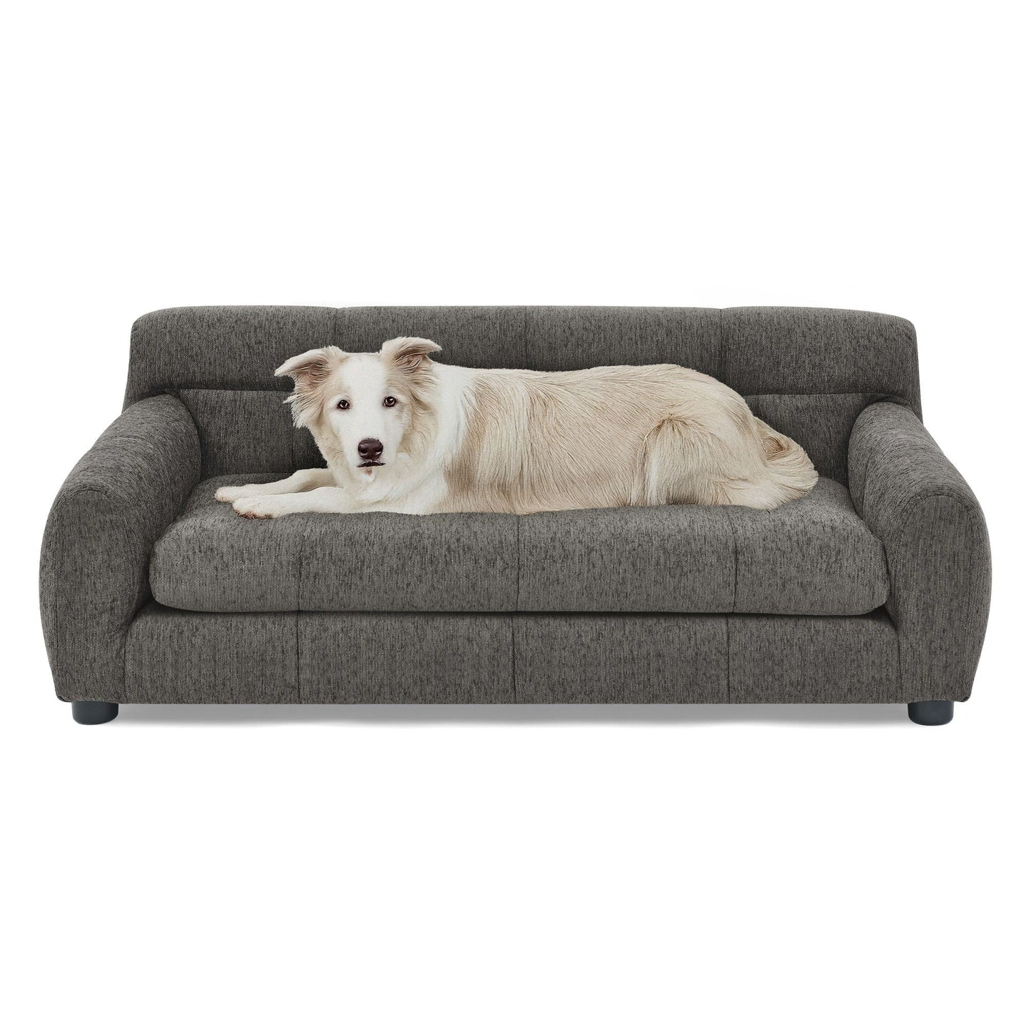 Modern Pet Sofa With Backrest And Armrests dog bed on dark gray fabric sofa with light-colored dog on Tampa Home & Garden Store