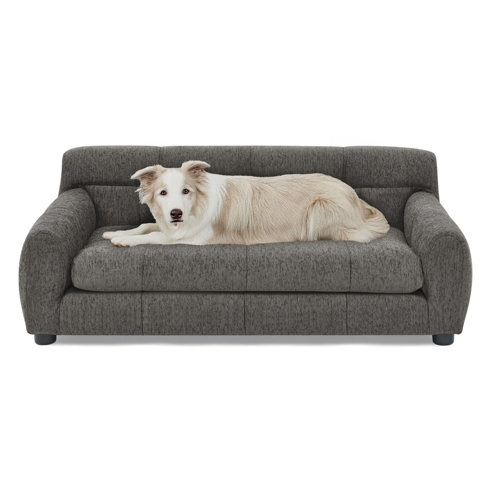 Modern Pet Sofa With Backrest And Armrests dog bed on dark gray fabric sofa with light-colored dog on Tampa Home & Garden Store