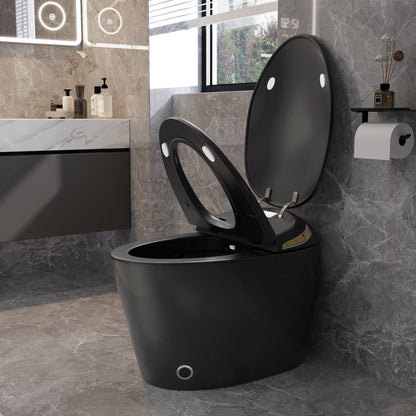 Smart toilet with ceramic bidet in matte black by HouseOfZazla on Tampa Home & Garden Store