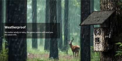 4K Hunting Trail Camera with 4G Live View - Solar Powered, 0.2s Trigger & Auto Night Vision