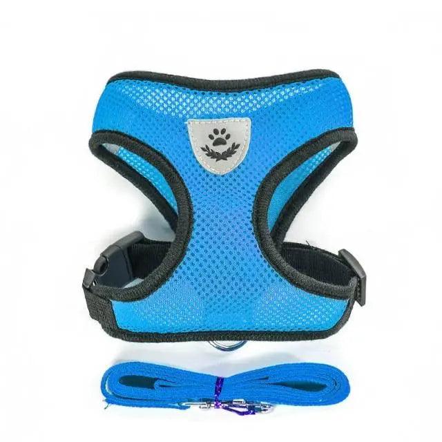 Stevvex blue adjustable dog harness no-pull padded vest with reflective emblem on Tampa Home & Garden Store